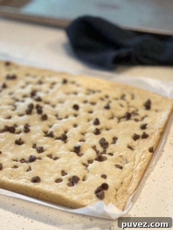 Freshly baked and cut Sheet Pan Blondie Bars, showing their chewy texture and melted chocolate chips.