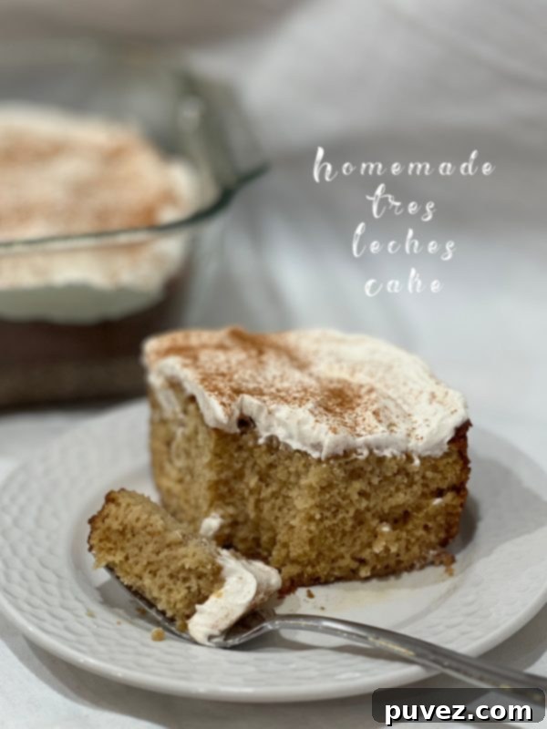 Homemade Tres Leches Cake, a creamy and sweet dessert topped with whipped cream