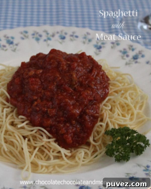 Spaghetti with Meat Sauce - make a large pot and freeze the leftovers!
