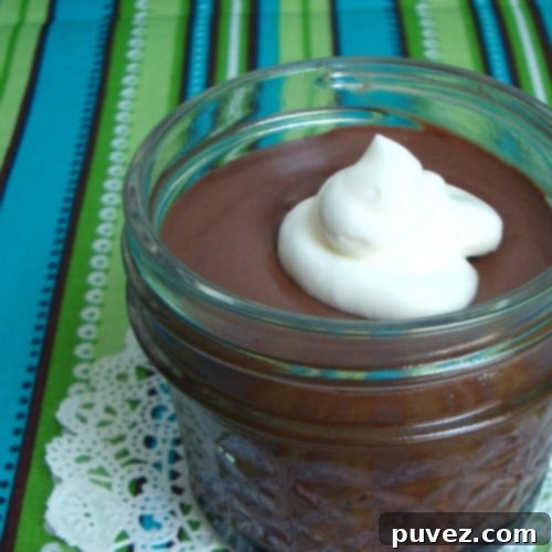 Chocolate Chantilly or the easiest, fastest Chocolate Mousse you've ever made and just 3 ingredients