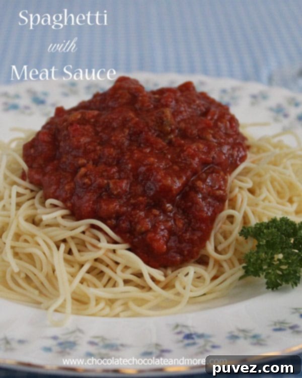 Spaghetti with Meat Sauce - make a large pot and freeze the leftovers!