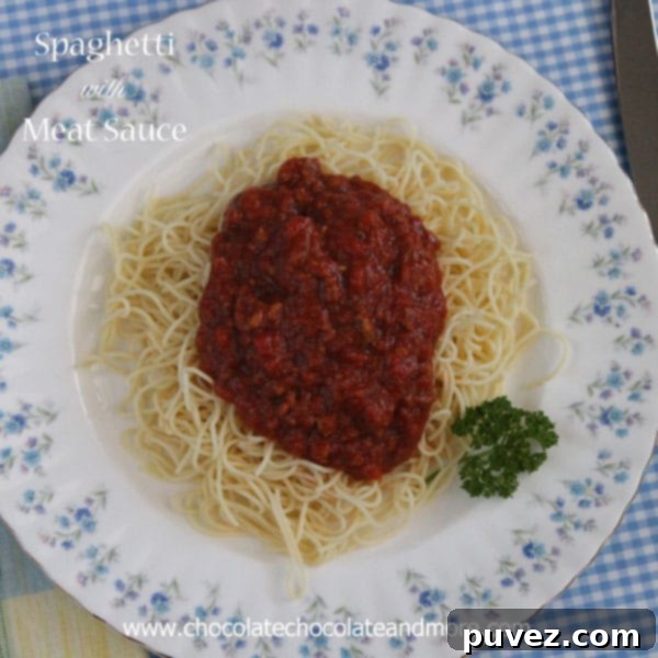 Spaghetti with Meat Sauce - make a large pot and freeze the leftovers!