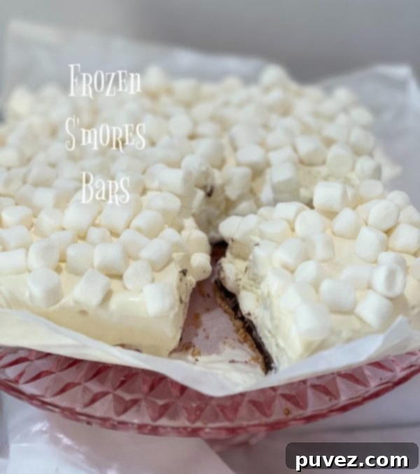 Delicious and refreshing Frozen S'mores Bars, perfect for a summer dessert.