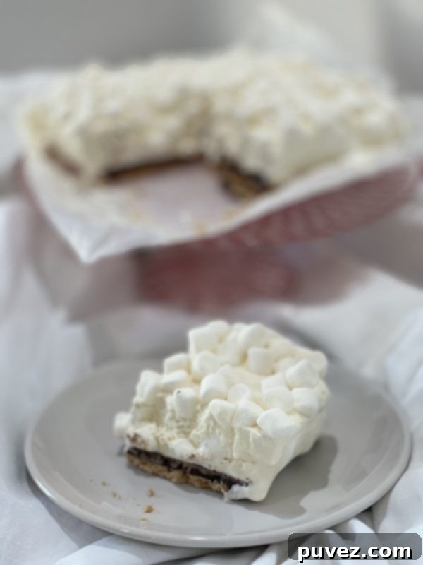 Perfectly frozen and ready-to-serve S'mores Bars on a cutting board.
