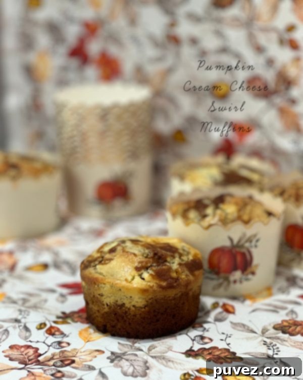 Delicious Pumpkin Cream Cheese Swirl Muffins with a golden crust and creamy topping, perfect for fall