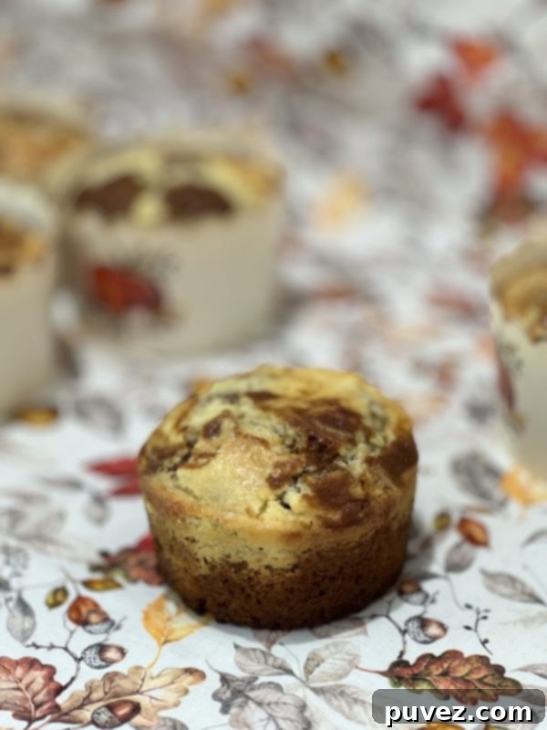 Close-up of freshly baked Pumpkin Cream Cheese Swirl Muffins, showing the creamy swirl on top