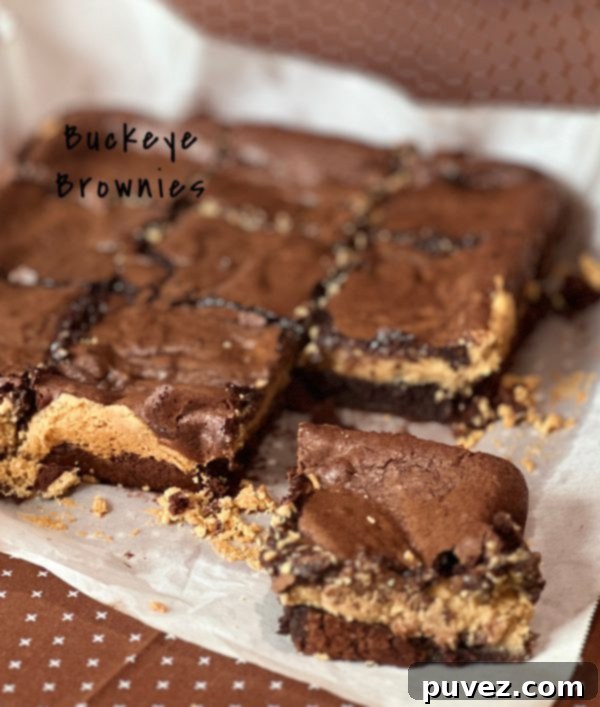Beautifully layered Buckeye Brownies, a perfect blend of chocolate and peanut butter