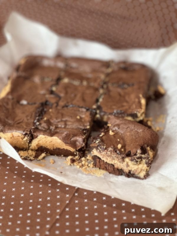 Sliced Buckeye Brownies revealing distinct chocolate and peanut butter layers