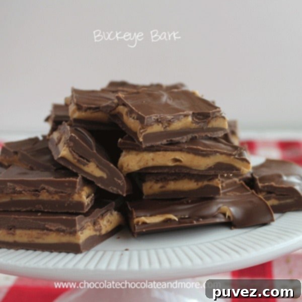 Buckeye Bark with chocolate and peanut butter swirled