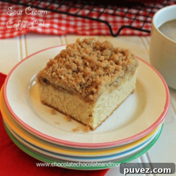 Delicious Sour Cream Coffee Cake with a crumb topping