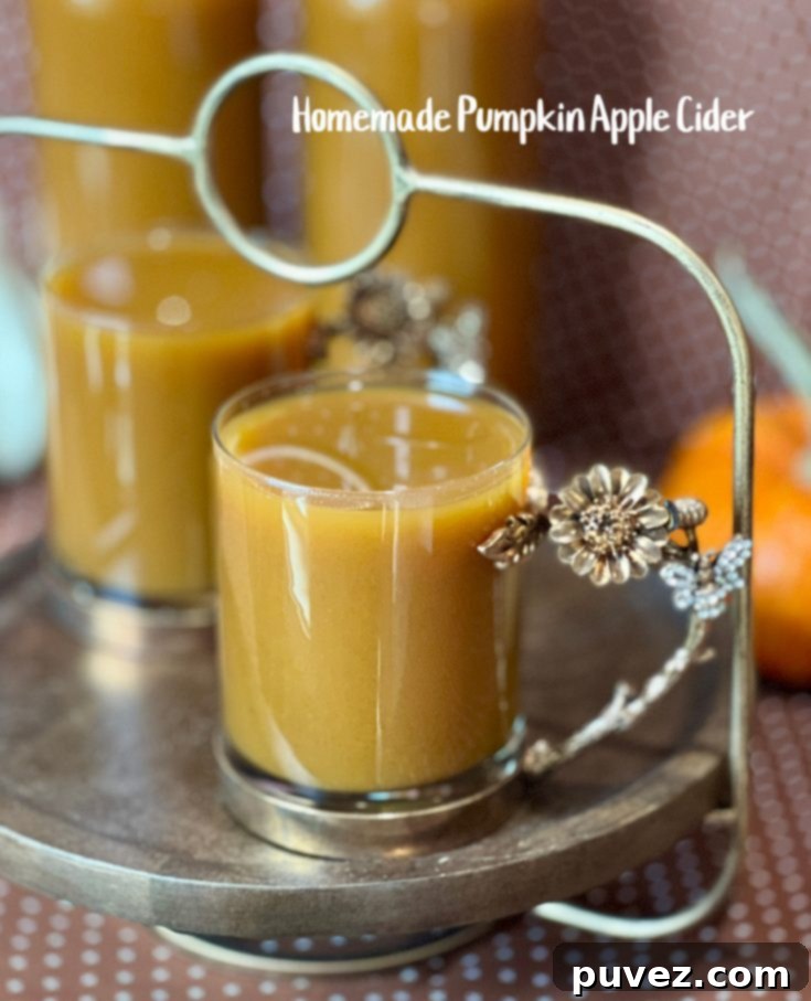 Homemade Pumpkin Apple Cider garnished with cinnamon sticks and an orange slice