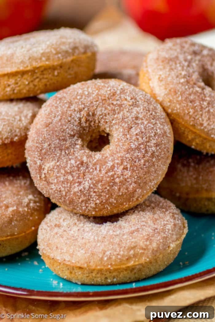 Homemade Apple Cider Donuts dusted with sugar