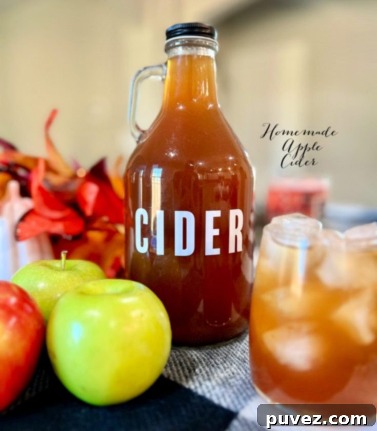 Traditional Homemade Apple Cider in a mug