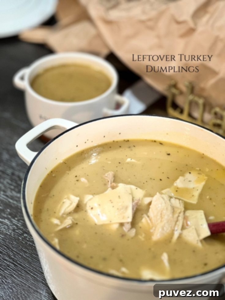 Leftover Turkey Dumplings