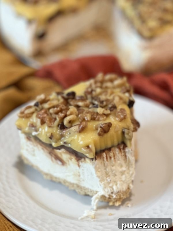 Sliced No-Bake German Chocolate Cheesecake, showing all delicious layers and texture