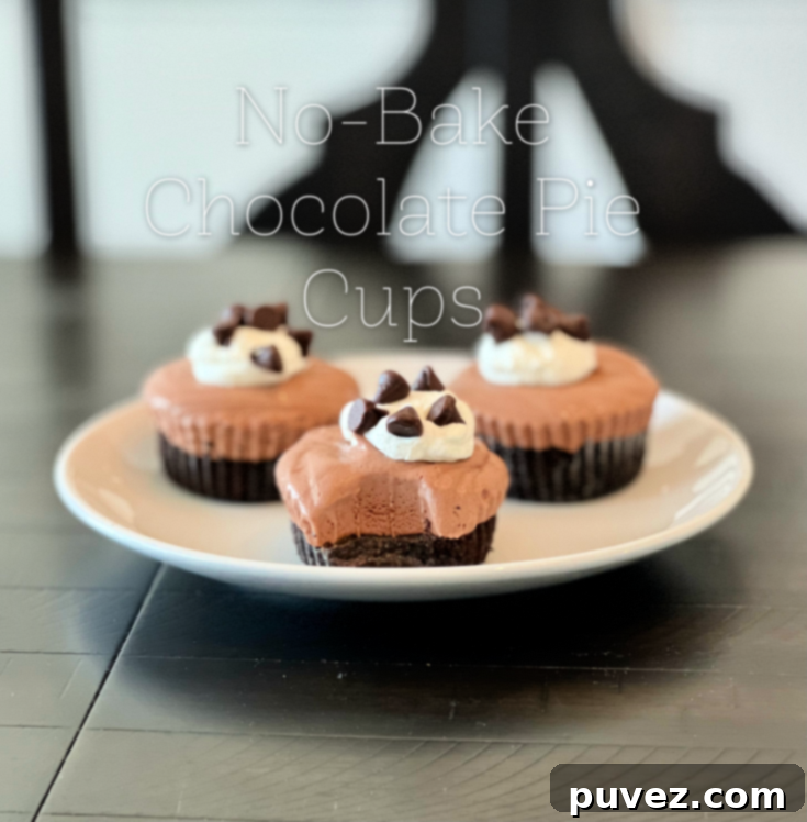 No-Bake Chocolate Pie Cups