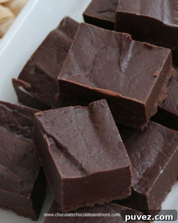 Easy Chocolate Fudge squares, rich and dark