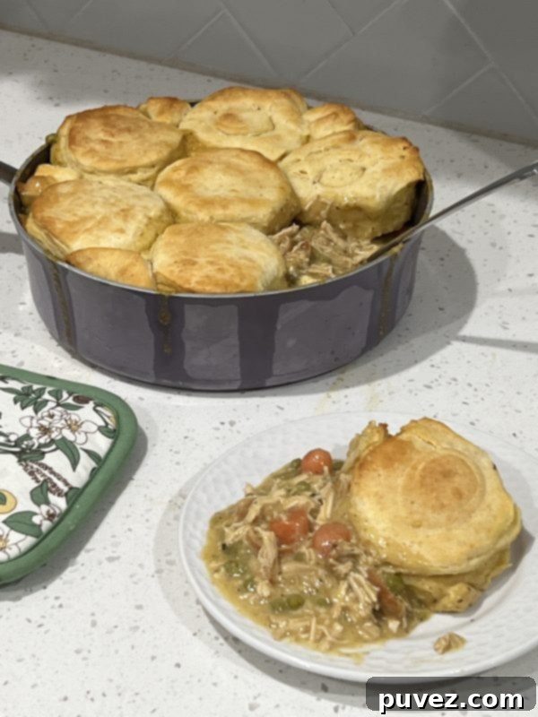Easy Biscuit Chicken Pot Pie - Delicious and quick homemade meal