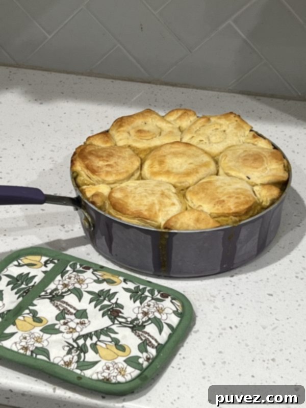 Easy Biscuit Chicken Pot Pie - Ready to serve with golden biscuits