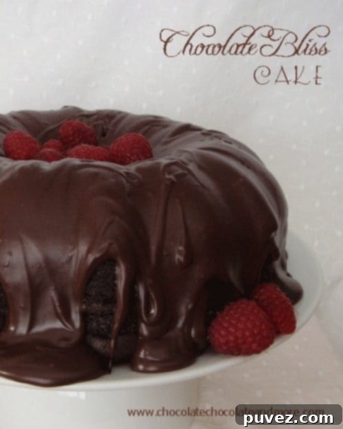 Heavenly Chocolate Indulgence 2 Close-up of a slice of Chocolate Bliss Cake with ganache and delicate Devonshire cream and fresh raspberries