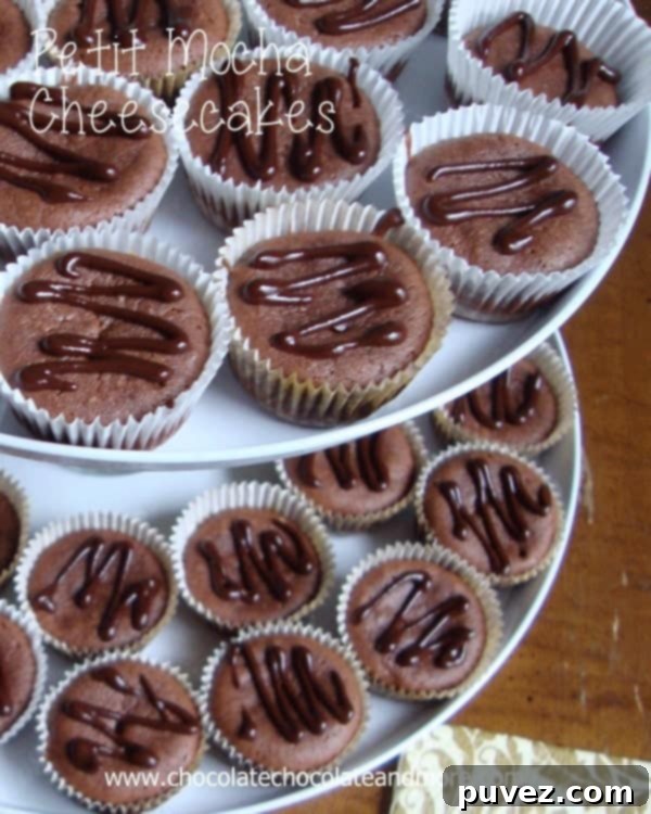Petit Mocha Cheesecakes recipe card image