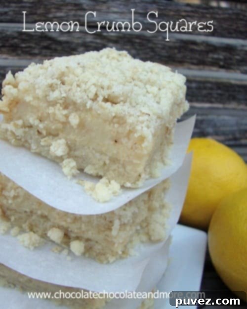 Lemon Crumb Squares