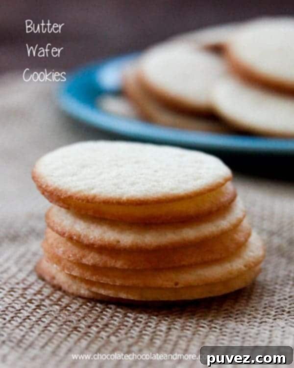 Beautifully arranged golden Butter Wafers on a plate, ready to be served.