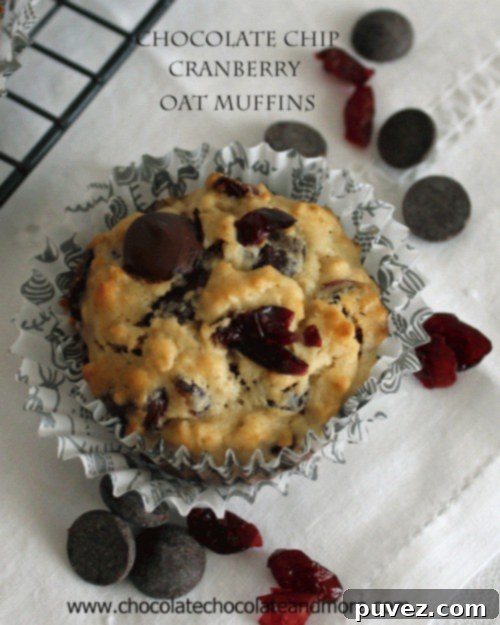 Chocolate Chip Cranberry Oat Muffins 2 Freshly baked Chocolate Chip Cranberry Oat Muffins on a cooling rack.