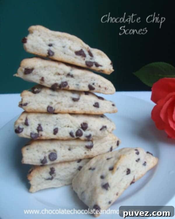 Ultimate Chocolate Chip Scones 2 Freshly baked scones with chocolate chips on a cooling rack, golden brown and ready to eat.