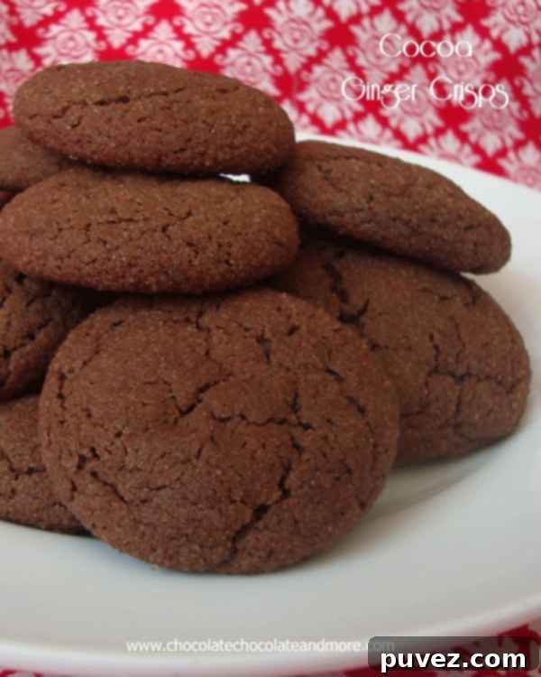 Cocoa Ginger Crisps footer decoration
