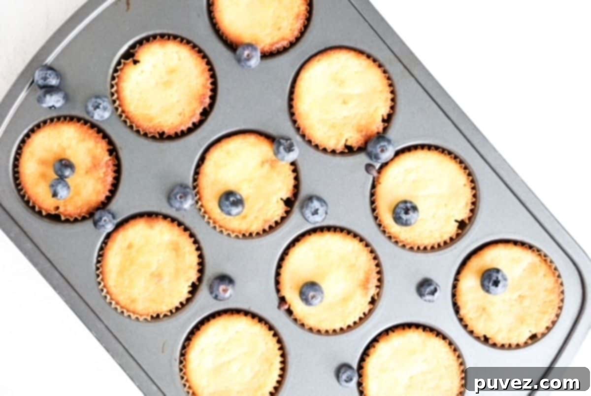One dozen lemon yogurt muffins in a muffin tin with blueberries scattered on top.