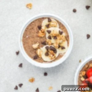 One serving of creamy peanut butter banana flaxseed pudding, perfectly topped with fresh banana slices, crunchy granola, and a sprinkle of mini chocolate chips, centered in a small dish. A corner of a second serving is visible, and the surface around is adorned with scattered mini chocolate chips and granola pieces, creating an appealing and wholesome visual.
