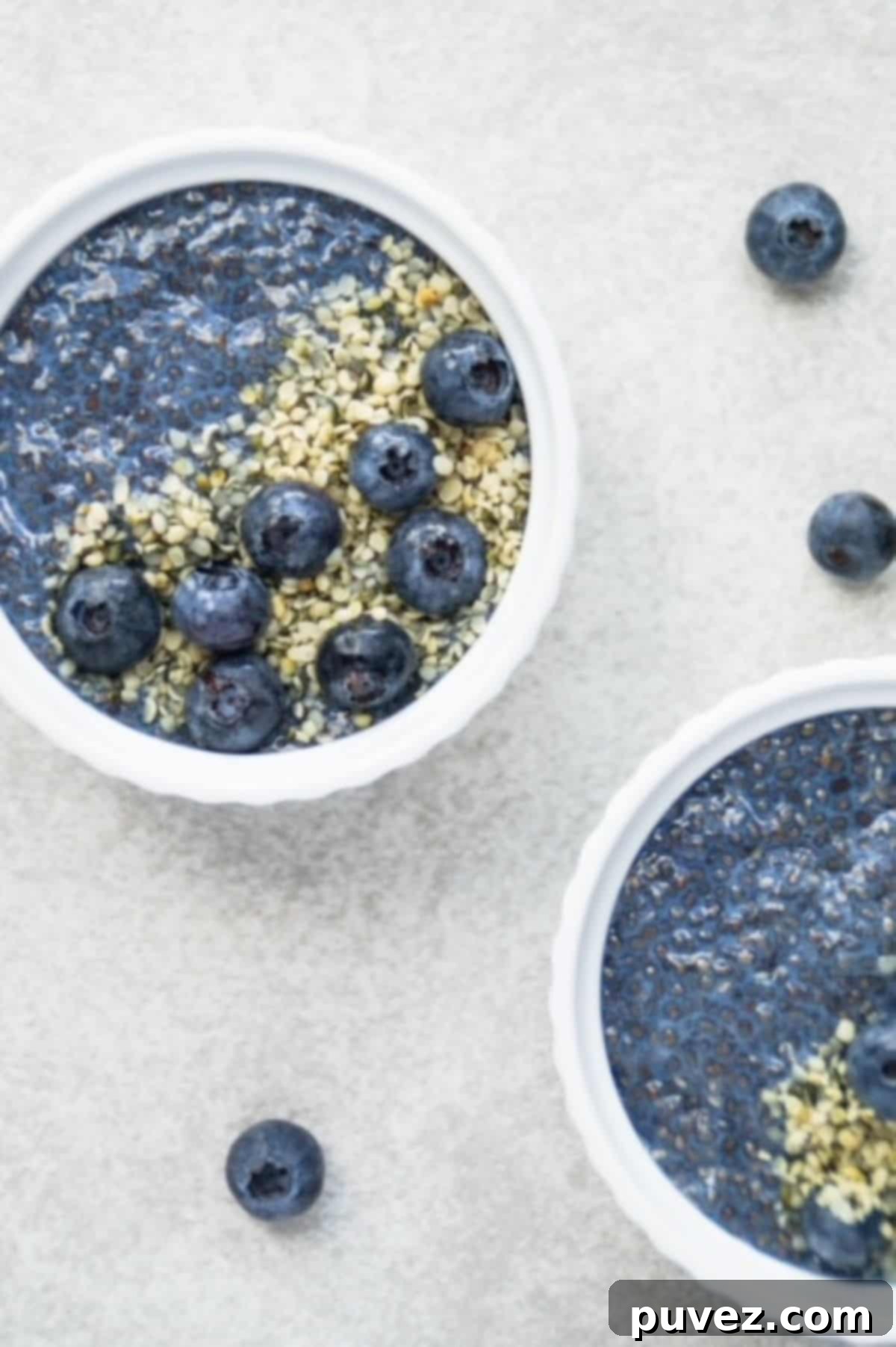 Two small round white bowls with blue chia pudding topped with hemp hearts and fresh blueberries. Three additional blueberries scattered around the surface.