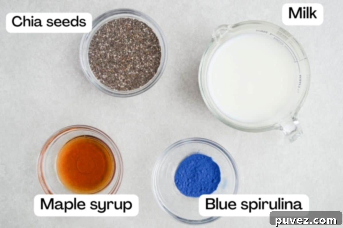 Four ingredients in individual glass dishes labeled: chia seeds, maple syrup, blue spirulina, and milk.