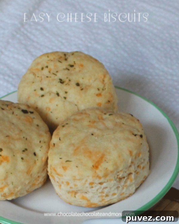 Easy Cheese Biscuits and The Wisest Kid 2 Close-up of perfectly baked Easy Cheese Biscuits, golden brown and cheesy, on a white plate