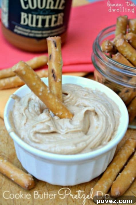 Cookie Butter Pretzel Dip, a delightful sweet and salty snack