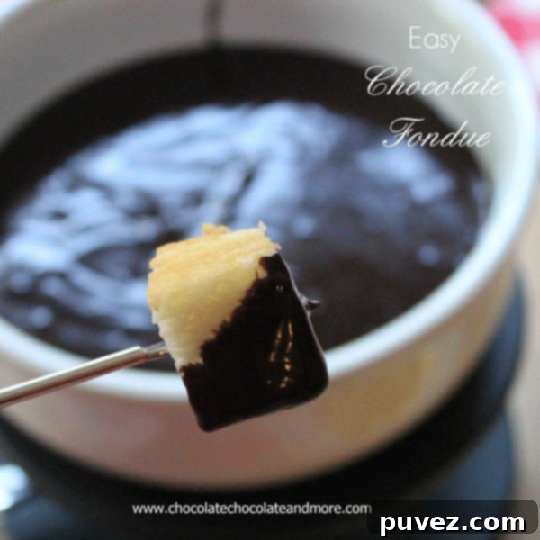Close-up of a bowl of Easy Chocolate Fondue with various dippers, ready for a fun dessert experience.