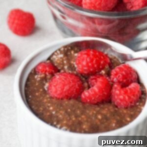 A serving of chocolate chia pudding in a white ramekin, garnished with fresh raspberries and a spoon, with a bowl of raspberries in the background.