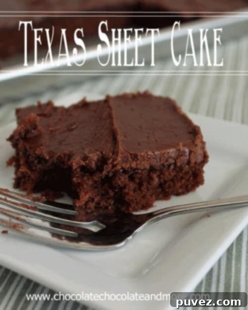 The finished Texas Sheet Cake, rich chocolate with a glossy frosting.