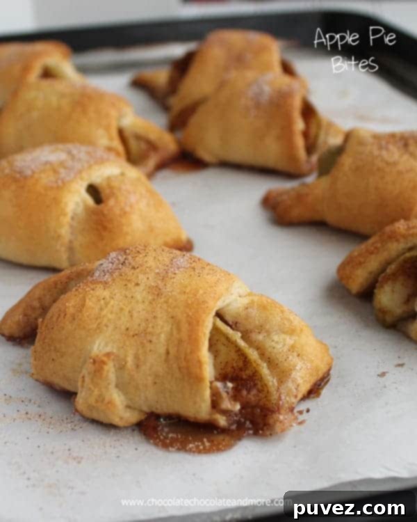 Delicious Apple Pie Bites, a perfect quick apple dessert