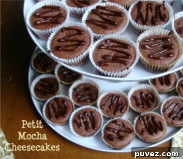Petit Mocha Cheesecakes, small individual chocolate coffee cheesecakes