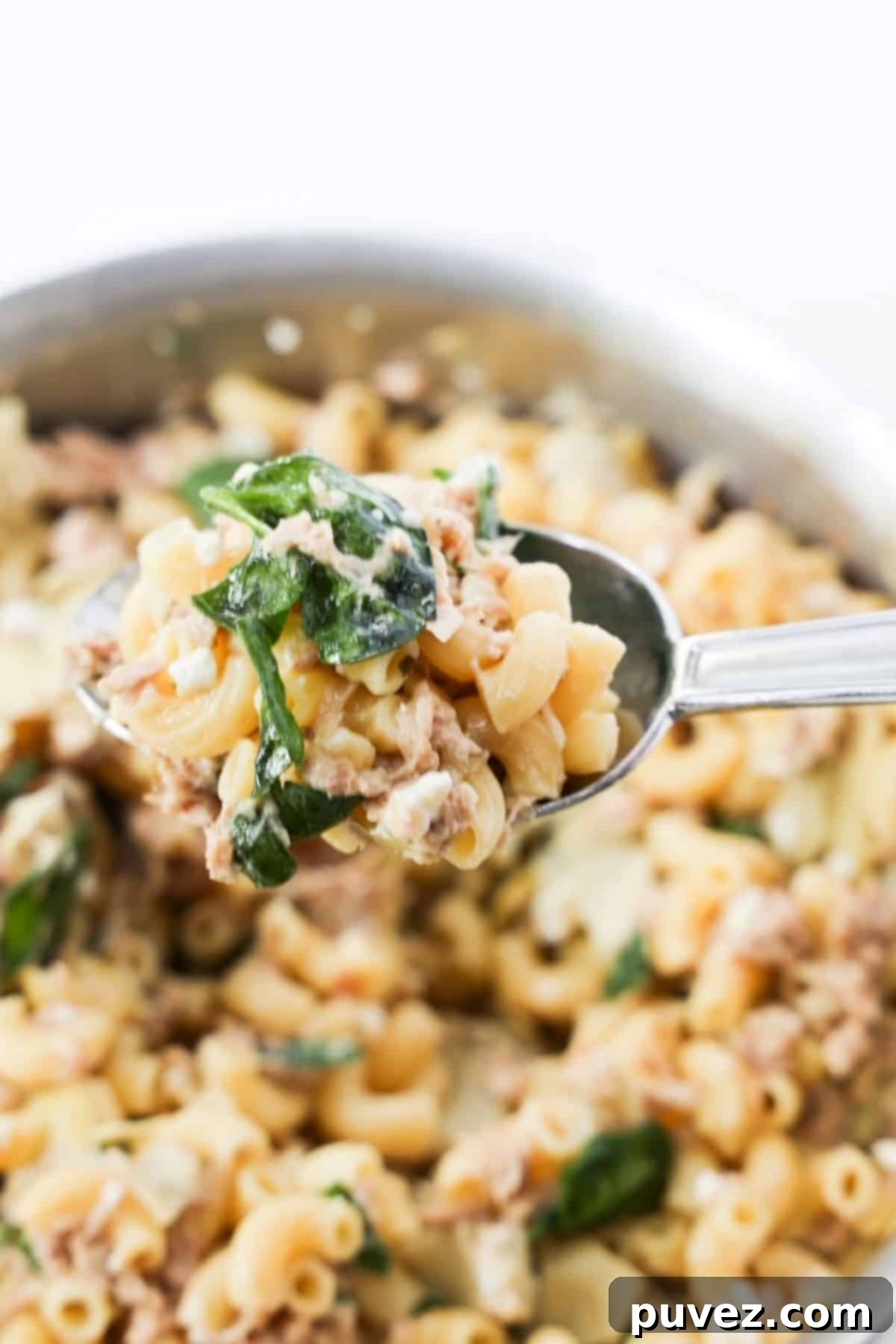 One spoonful of this pasta with tuna meal held up over a skillet with the rest of it, showing creamy texture and visible ingredients.