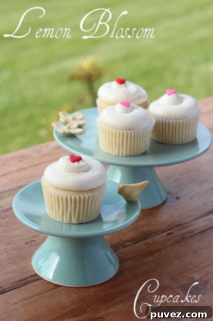Lemon Blossom Cupcakes, light, airy, and bursting with refreshing lemon flavor.