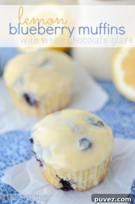 Lemon Blueberry Muffins with White Chocolate Glaze, packed with juicy blueberries and bright lemon.
