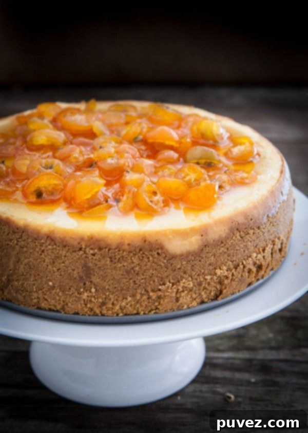 Orange Cheesecake with Candied Kumquats, rich, creamy, and garnished with sweet and tangy kumquats.
