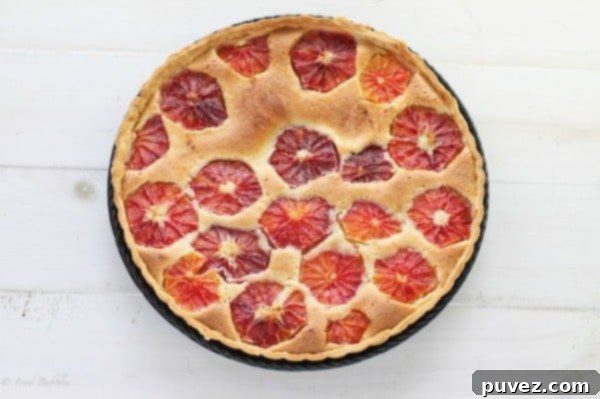 Blood Orange Almond Tart, combining striking blood orange and rich almond flavors.