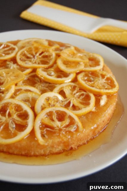 Candied Lemon Cake adorned with sweet and zesty candied lemon slices.
