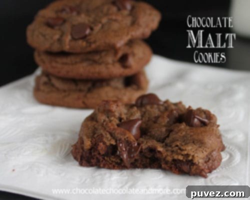 Chocolate Malt Cookies with Chocolate Chips