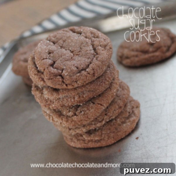 Close-up of freshly baked chocolate sugar cookies on a plate
