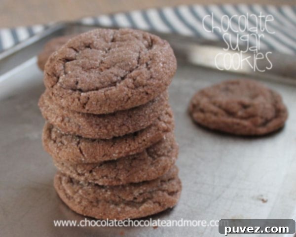 Ingredients for chocolate sugar cookies laid out on a table